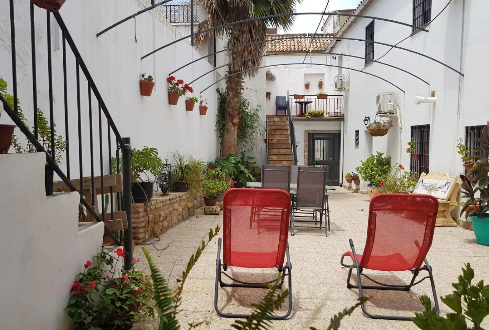 Palmera Home Cordoba